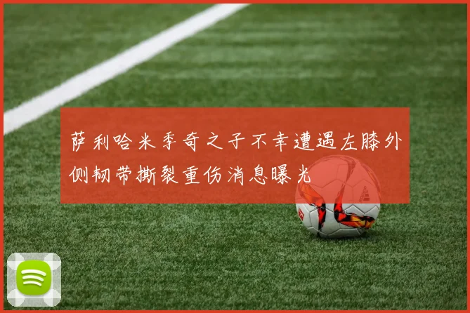 萨利哈米季奇之子不幸遭遇左膝外侧韧带撕裂重伤消息曝光